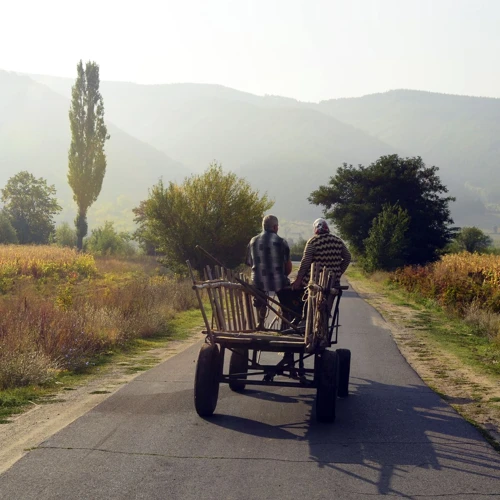 Călătoria În Timp Prin Vise