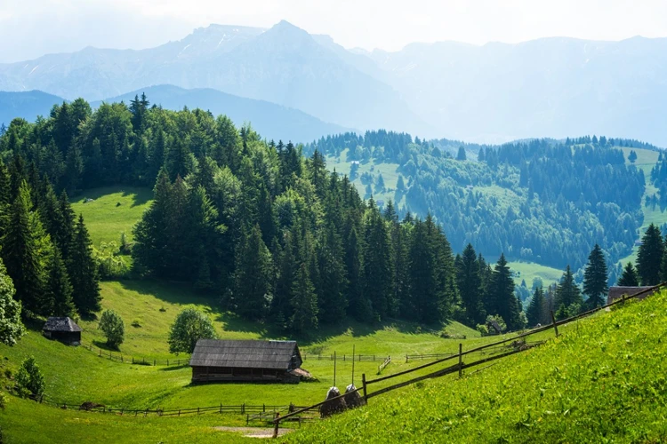 Peisaje Montane În Vise